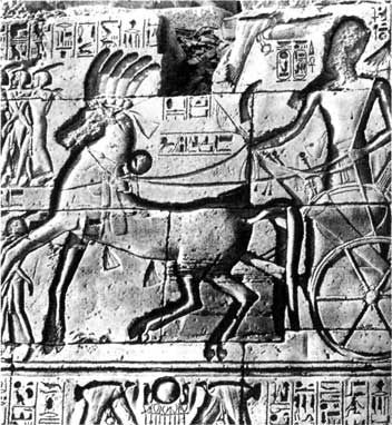 Египетский фараон Сети I на колеснице. Рельеф храма Амона в Карнаке. Около 1300 г. до н .э. <br>
